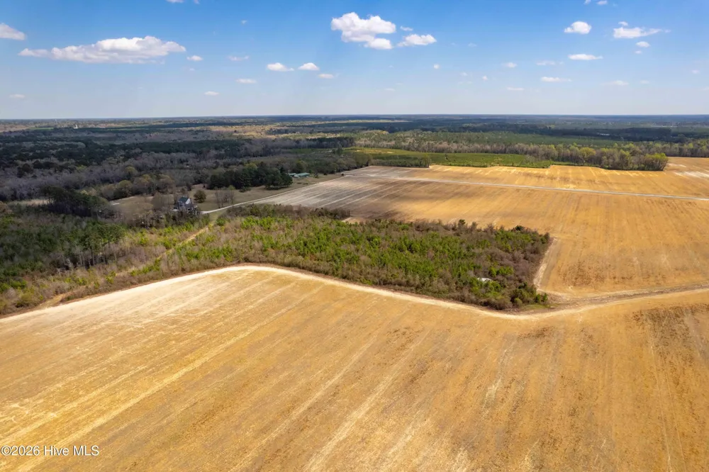 0 Devane Farm Road Harrells, NC 28444