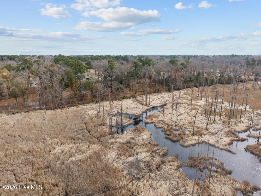 1405 Ness Drive Castle Hayne, NC 28429