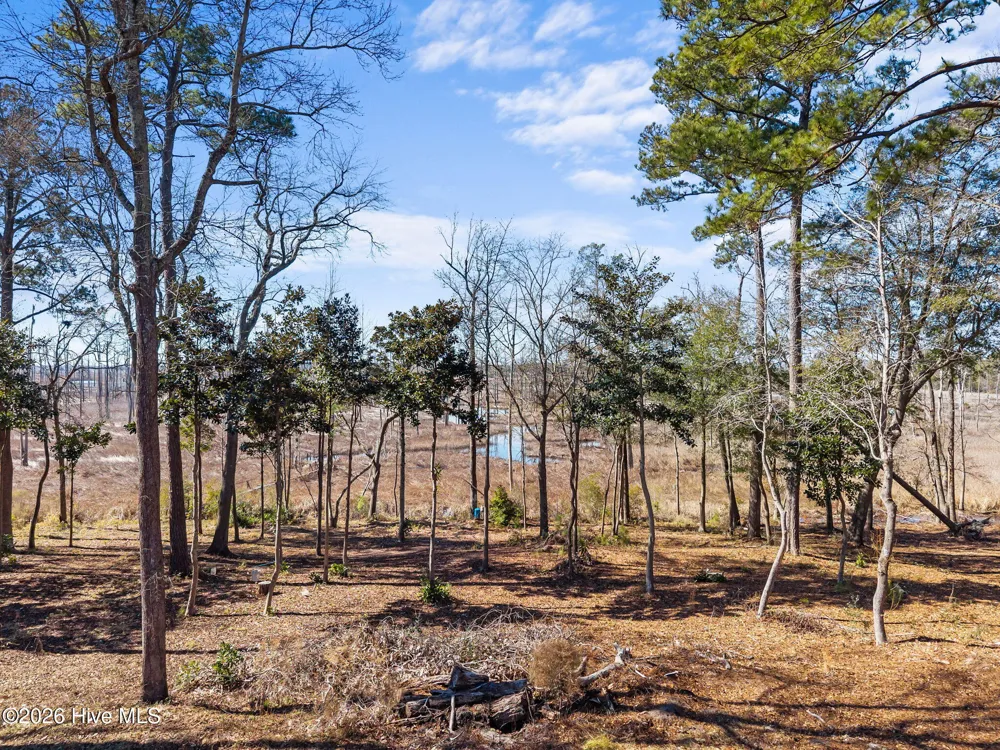 1405 Ness Drive Castle Hayne, NC 28429