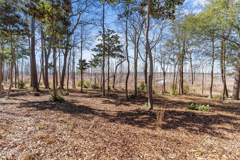 1405 Ness Drive Castle Hayne, NC 28429