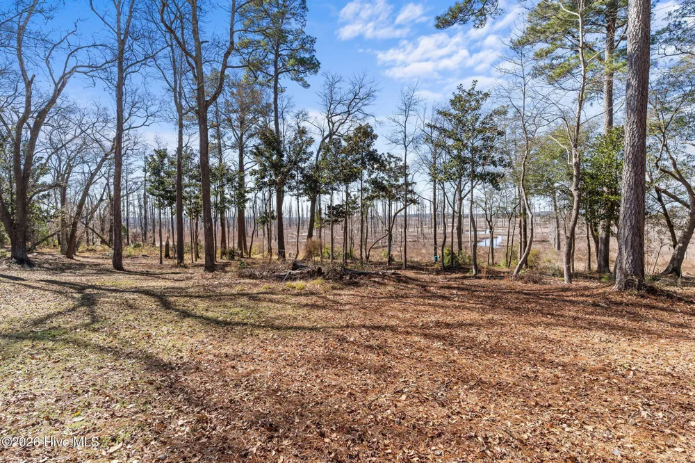 1405 Ness Drive Castle Hayne, NC 28429