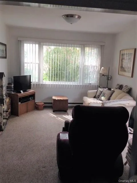 709 Clinton Street Bellmore, NY 11710