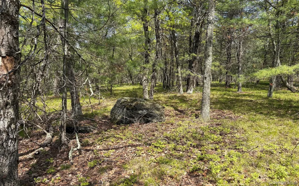 Route 28A West Hurley, NY 12443