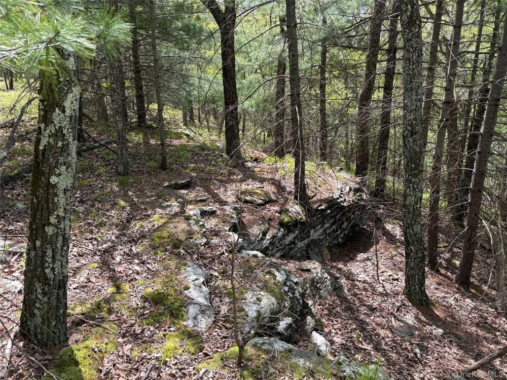 Route 28A West Hurley, NY 12443
