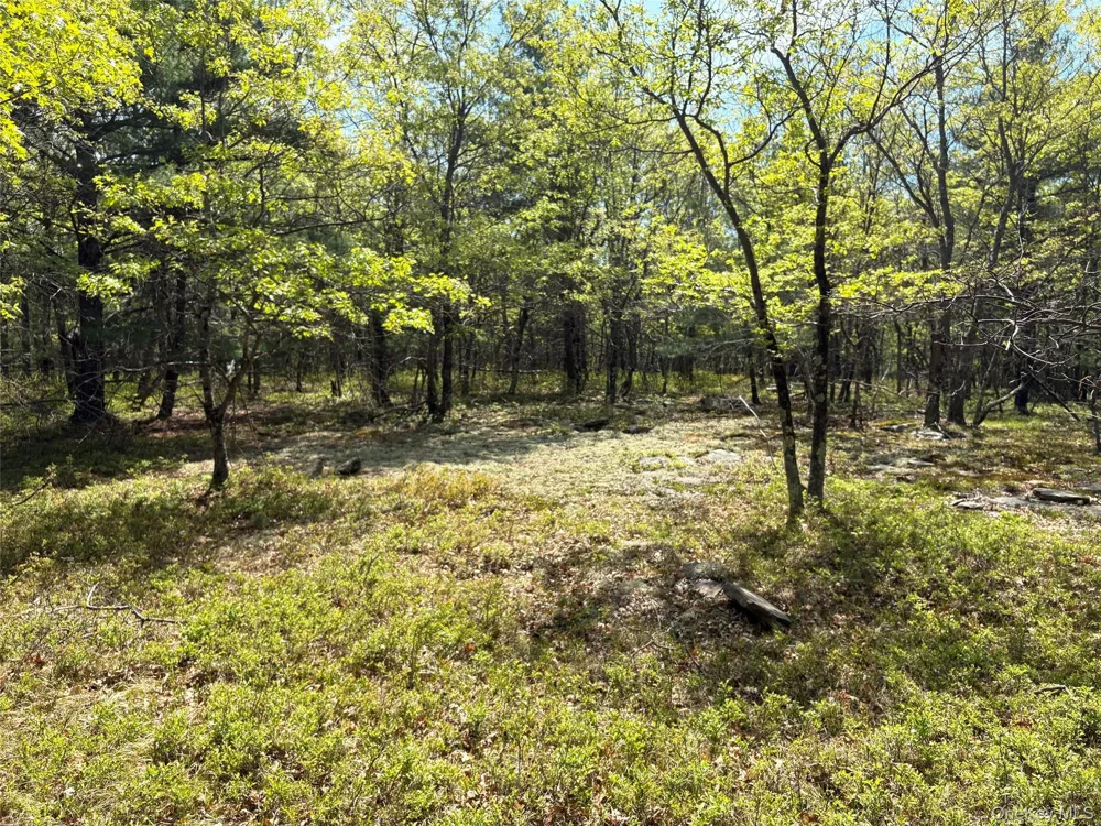 Route 28A West Hurley, NY 12443