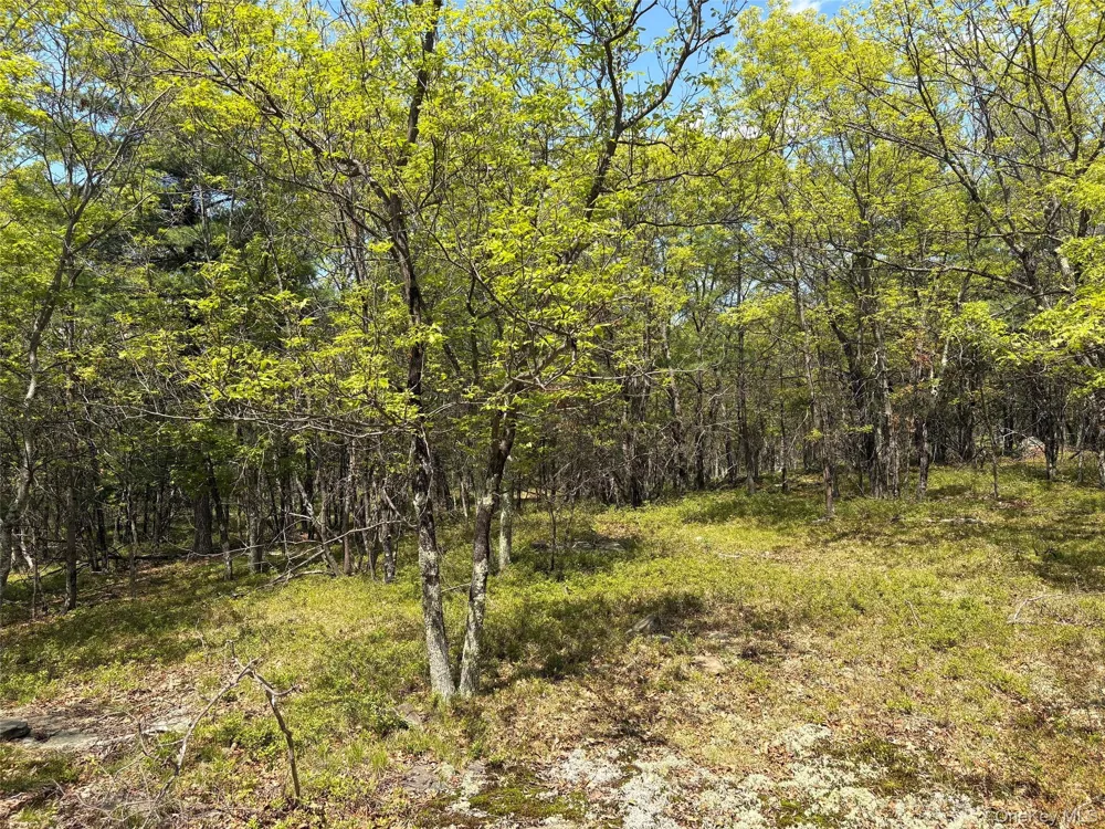 Route 28A West Hurley, NY 12443