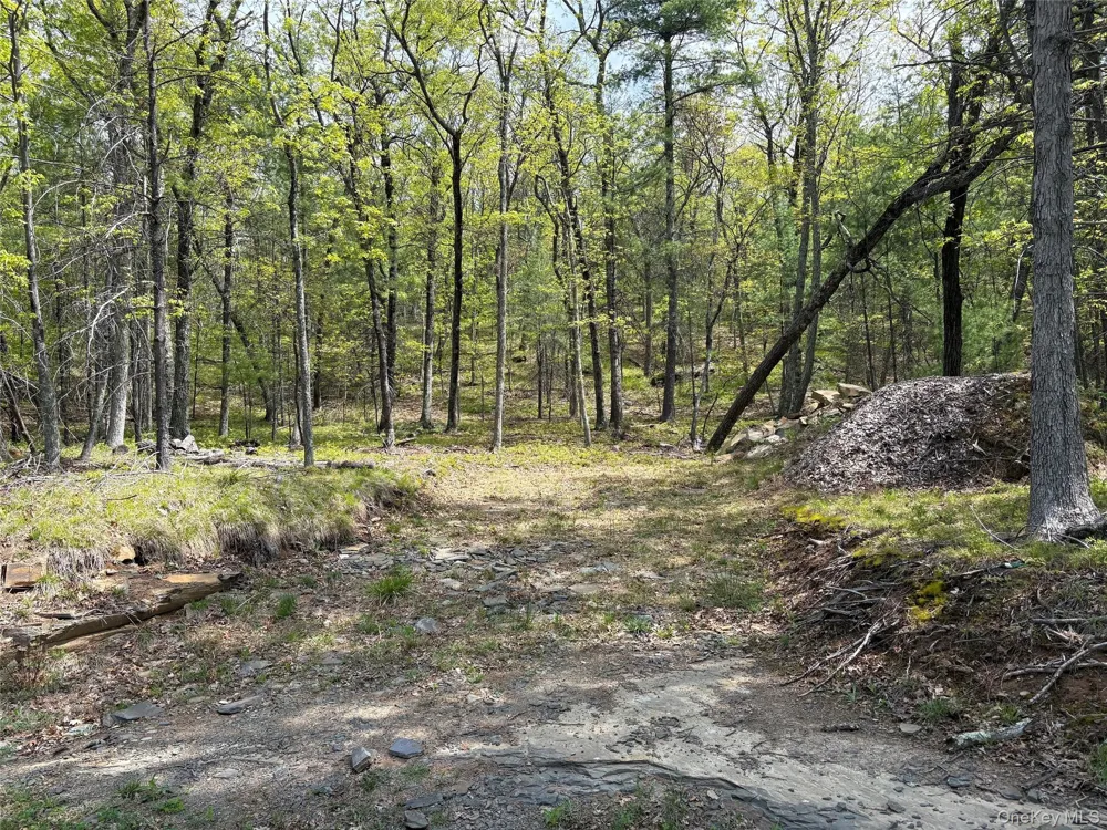Route 28A West Hurley, NY 12443