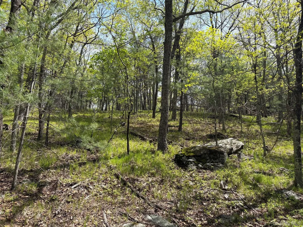 Route 28A West Hurley, NY 12443