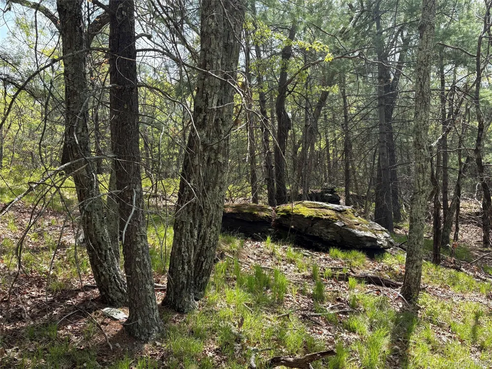 Route 28A West Hurley, NY 12443