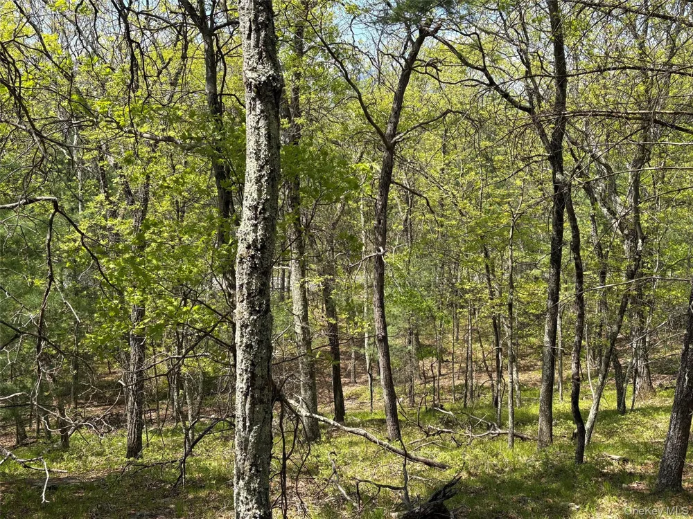 Route 28A West Hurley, NY 12443