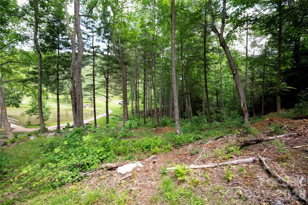 WR 29 Sierra Trail Elk Park, NC 28622