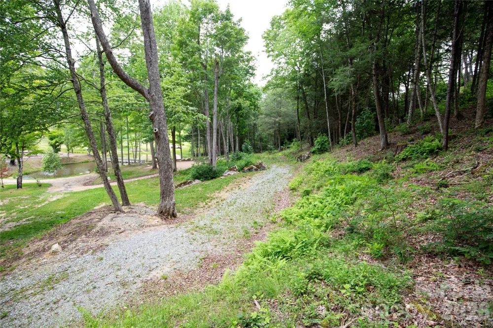 WR 29 Sierra Trail Elk Park, NC 28622