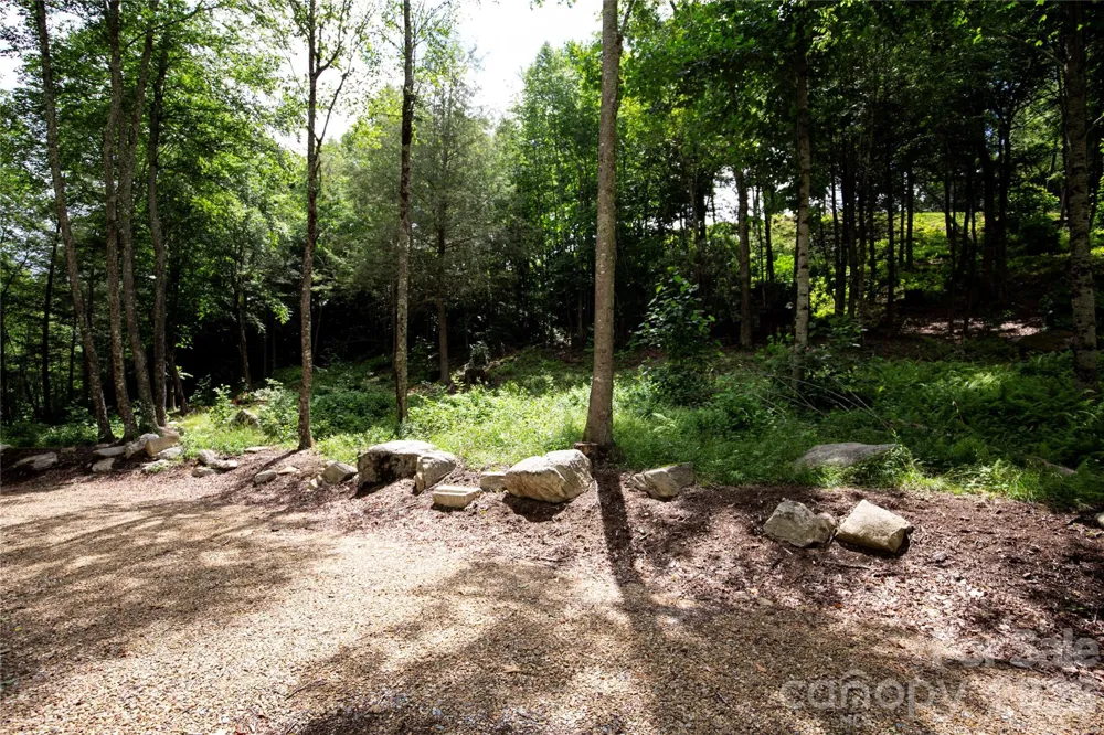 WR 29 Sierra Trail Elk Park, NC 28622