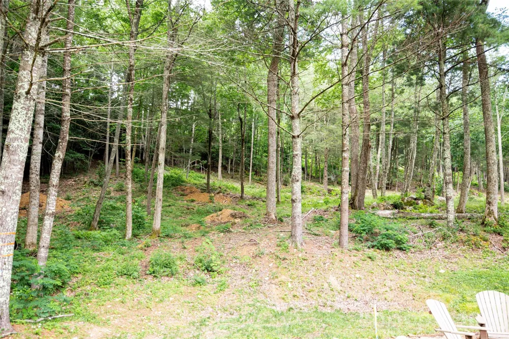 WR 29 Sierra Trail Elk Park, NC 28622