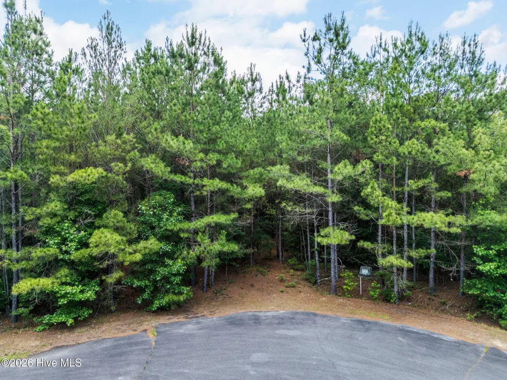 129 Dodge Lane Wallace, NC 28466