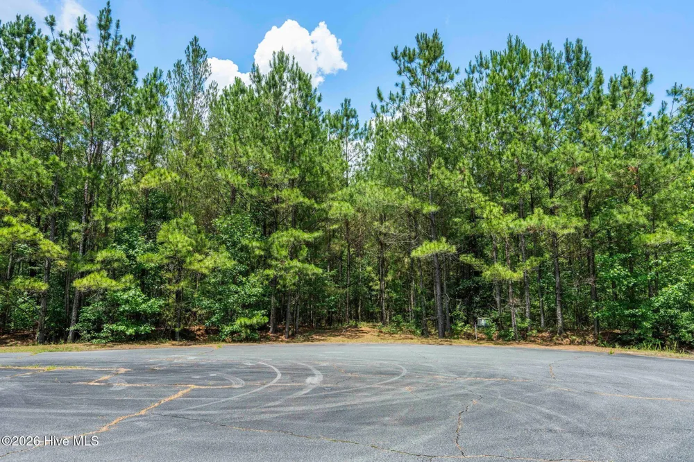 129 Dodge Lane Wallace, NC 28466