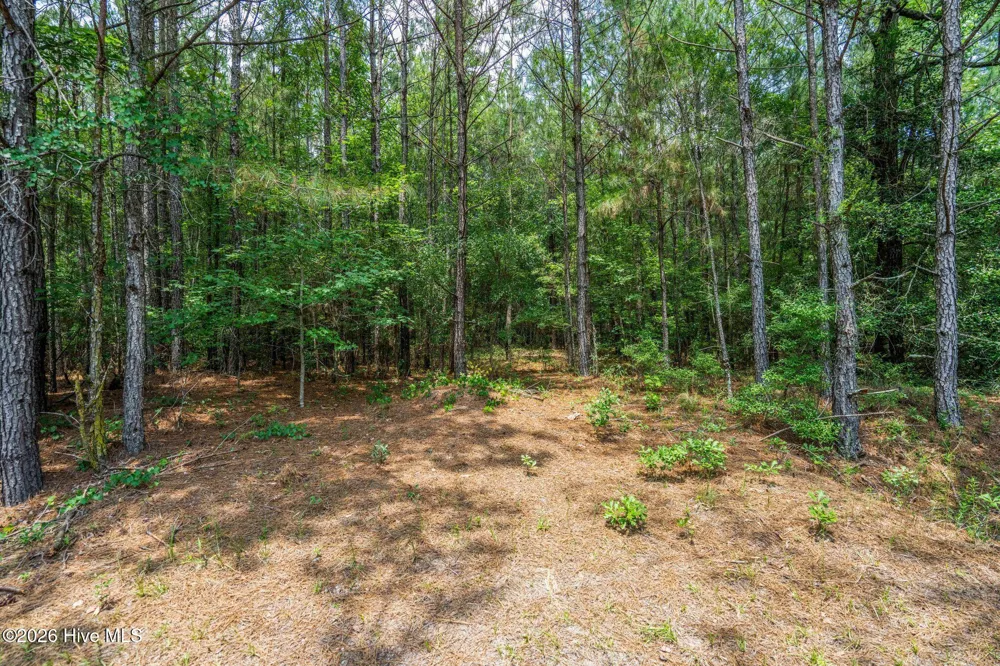 129 Dodge Lane Wallace, NC 28466