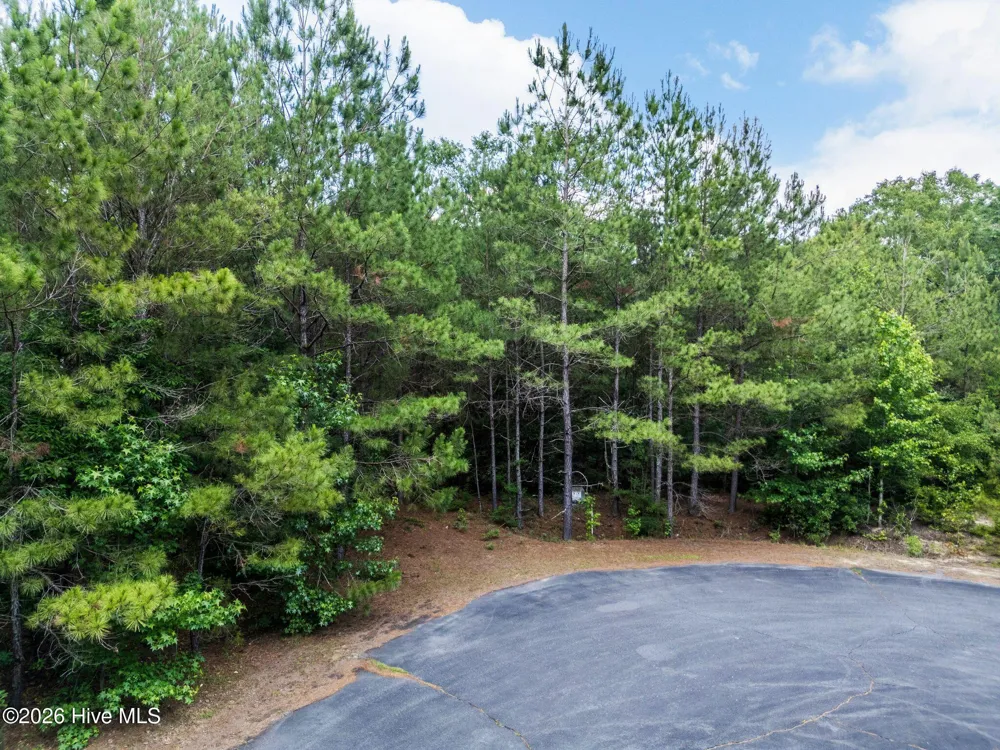 129 Dodge Lane Wallace, NC 28466