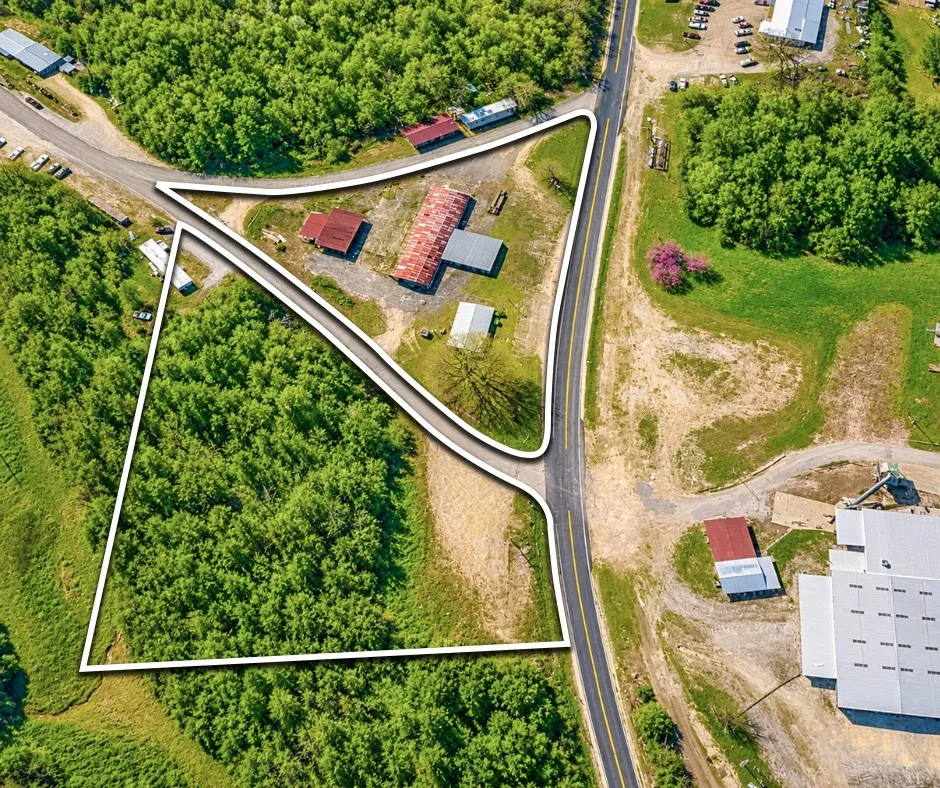 204 Lick Creek Rd Linden, TN 37096