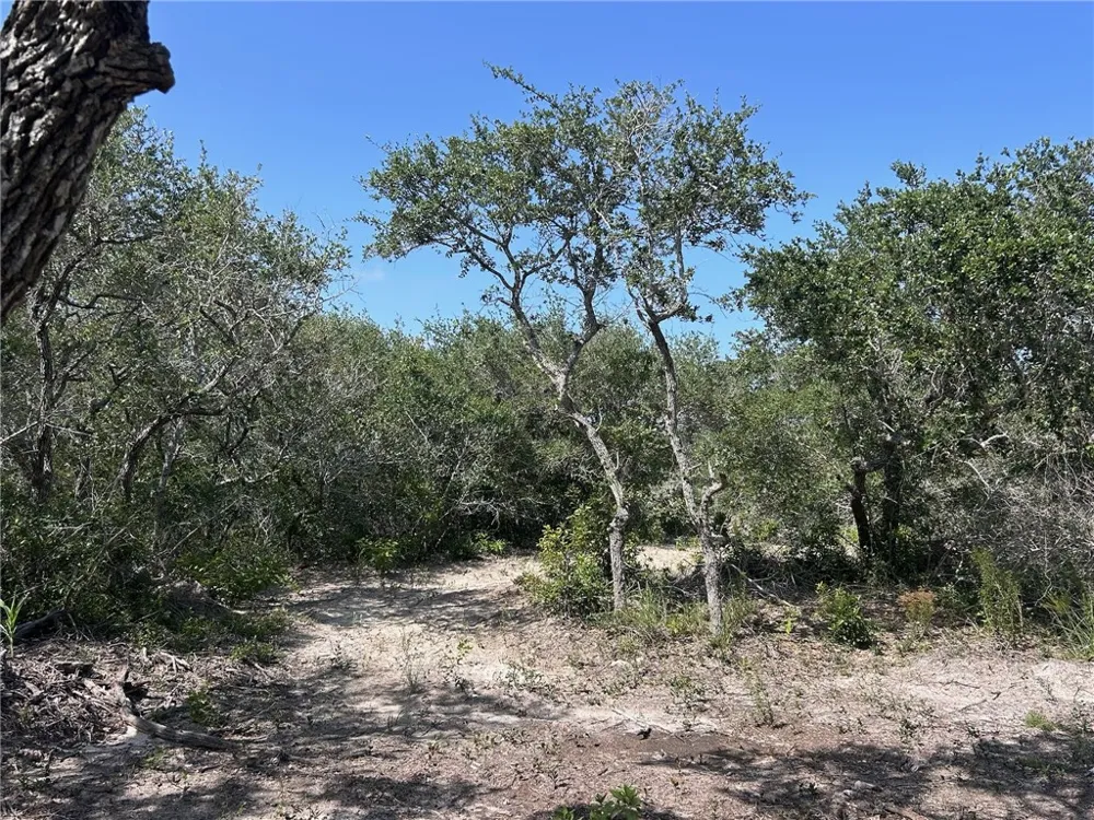 1541 6th Ingleside, TX 78362