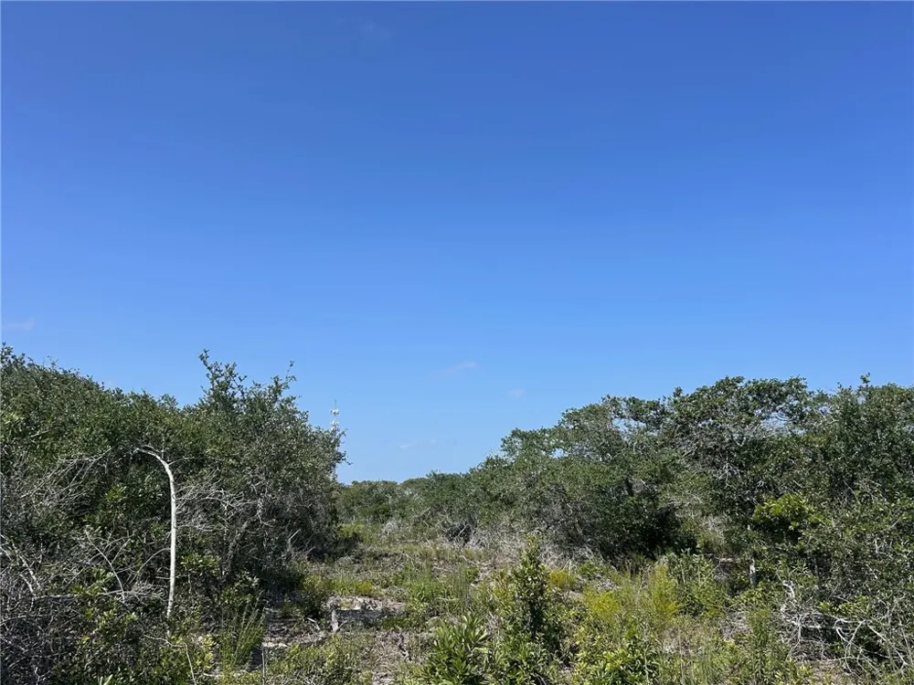 1541 6th Ingleside, TX 78362