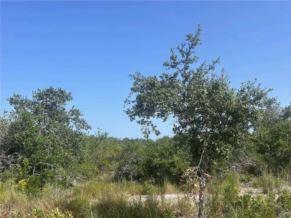 1541 6th Ingleside, TX 78362