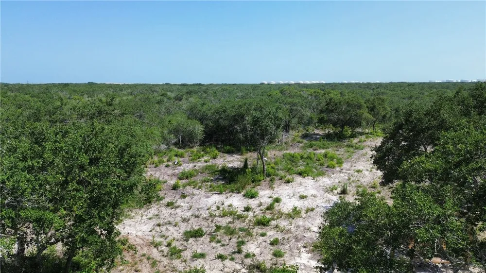 1541 6th Ingleside, TX 78362