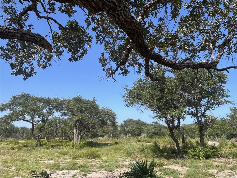 1541 6th Ingleside, TX 78362