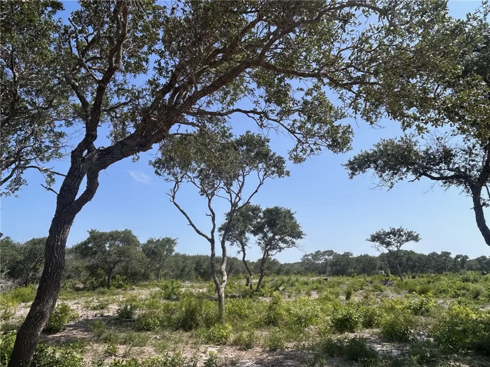 1541 6th Ingleside, TX 78362