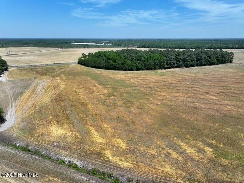Tbd Duffie Road Red Springs, NC 28377
