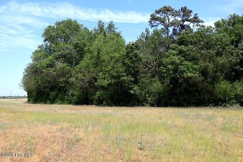 Tbd Duffie Road Red Springs, NC 28377
