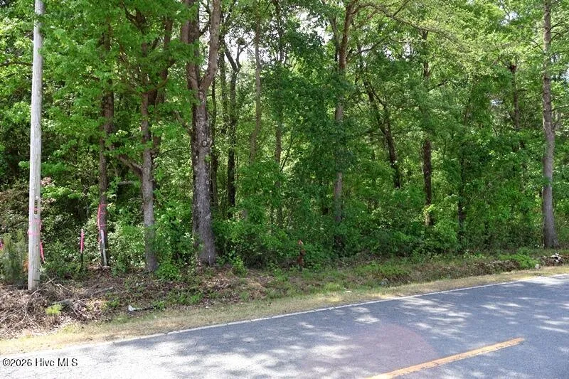 Tbd Duffie Road Red Springs, NC 28377