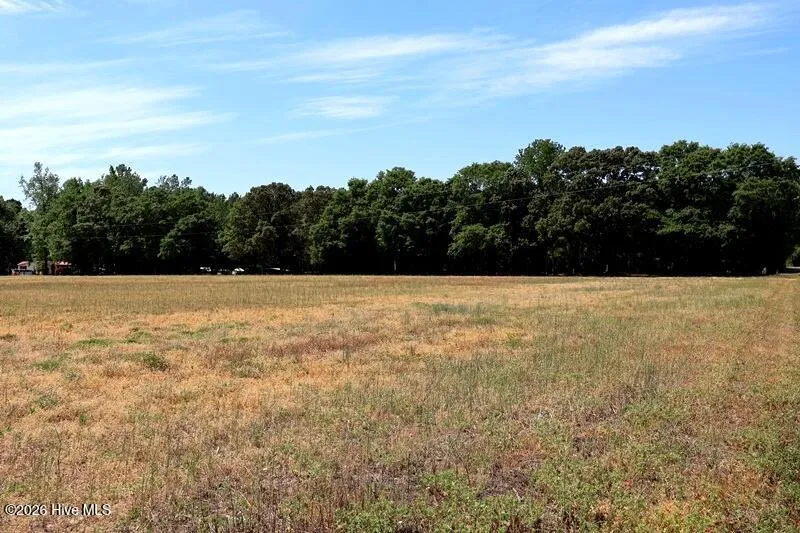 Tbd Duffie Road Red Springs, NC 28377
