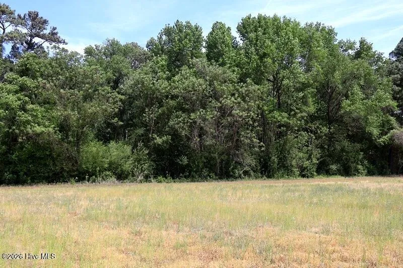 Tbd Duffie Road Red Springs, NC 28377