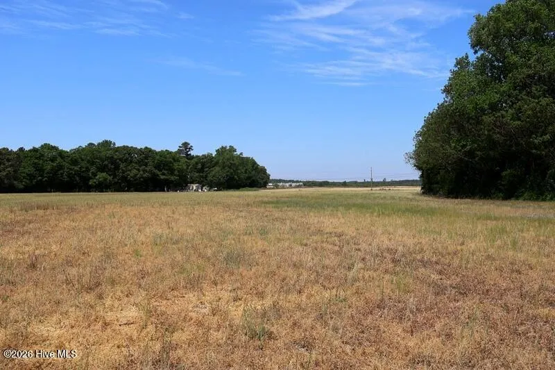 Tbd Duffie Road Red Springs, NC 28377