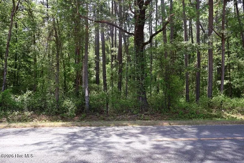 Tbd Duffie Road Red Springs, NC 28377