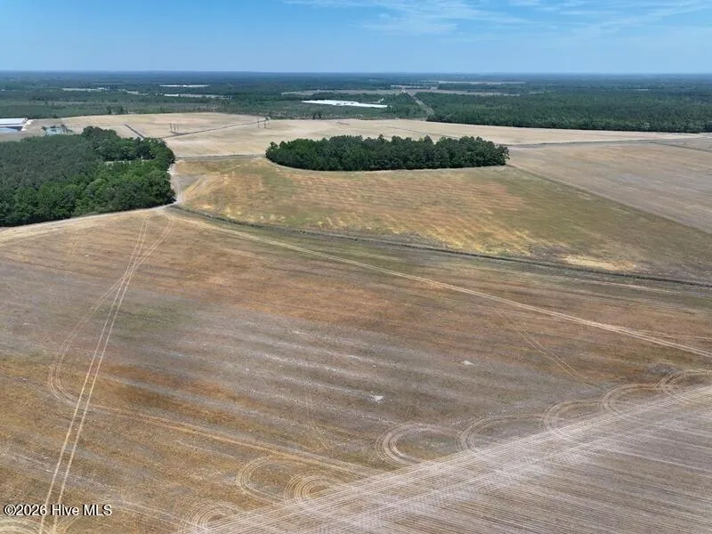 Tbd Duffie Road Red Springs, NC 28377
