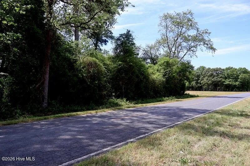 Tbd Duffie Road Red Springs, NC 28377
