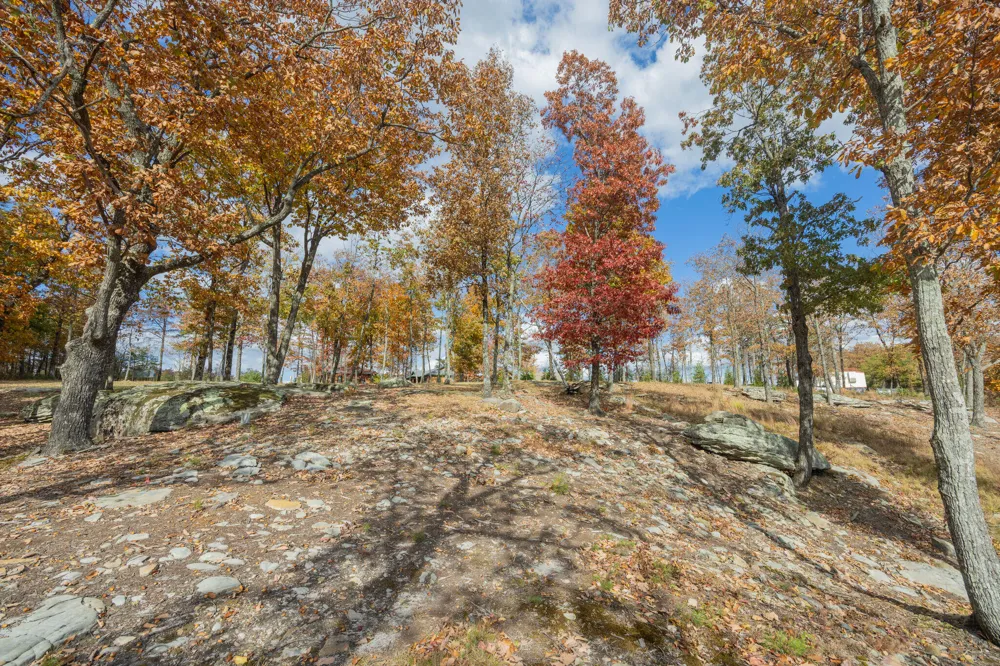 Canyon Ridge Road Rising Fawn, GA 30738