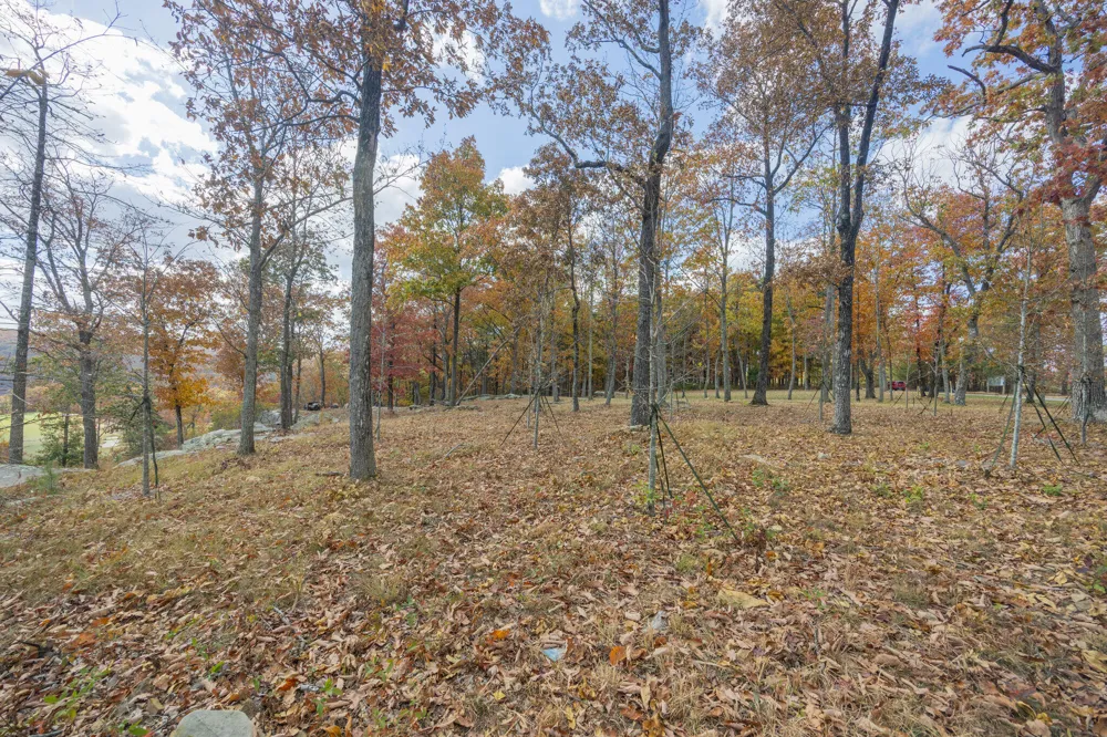 Canyon Ridge Road Rising Fawn, GA 30738