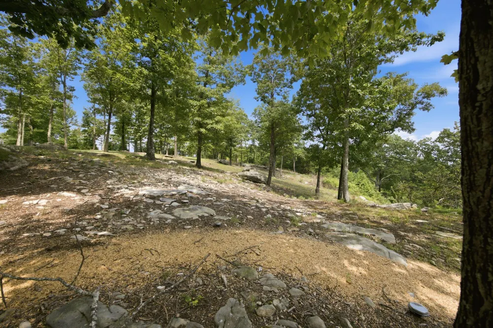Canyon Ridge Road Rising Fawn, GA 30738