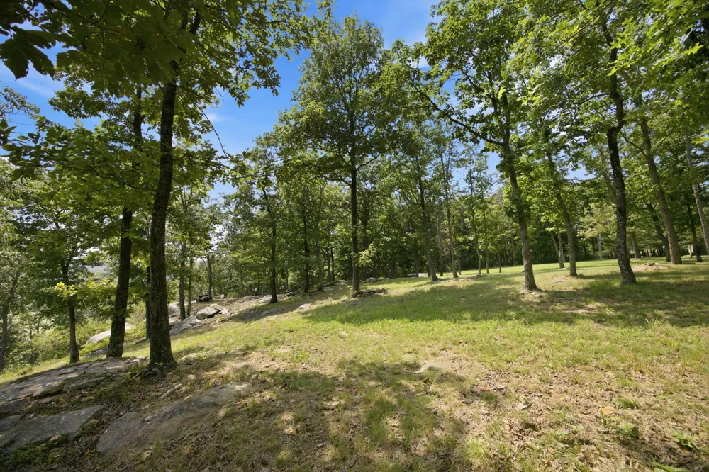 Canyon Ridge Road Rising Fawn, GA 30738