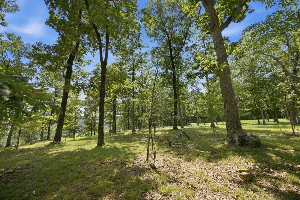 Canyon Ridge Road Rising Fawn, GA 30738
