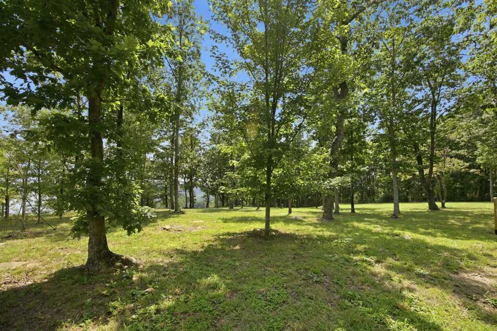 Canyon Ridge Road Rising Fawn, GA 30738