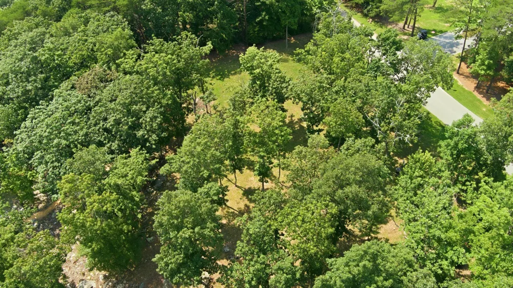 Canyon Ridge Road Rising Fawn, GA 30738