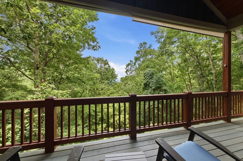 130 Cross Vine Drive Tuckasegee, NC 28783
