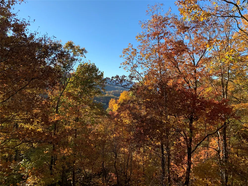 130 Cross Vine Drive Tuckasegee, NC 28783