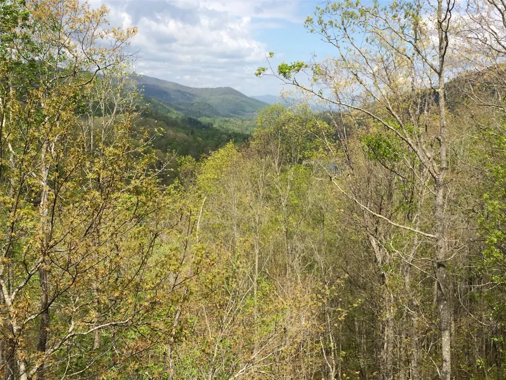 130 Cross Vine Drive Tuckasegee, NC 28783