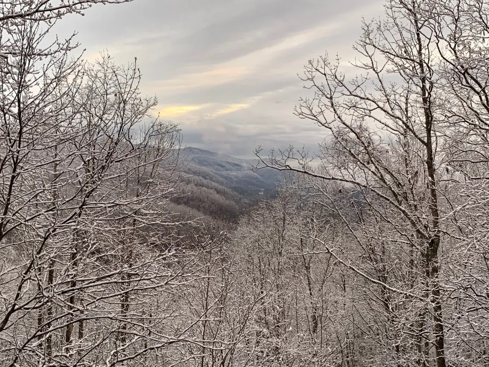 130 Cross Vine Drive Tuckasegee, NC 28783