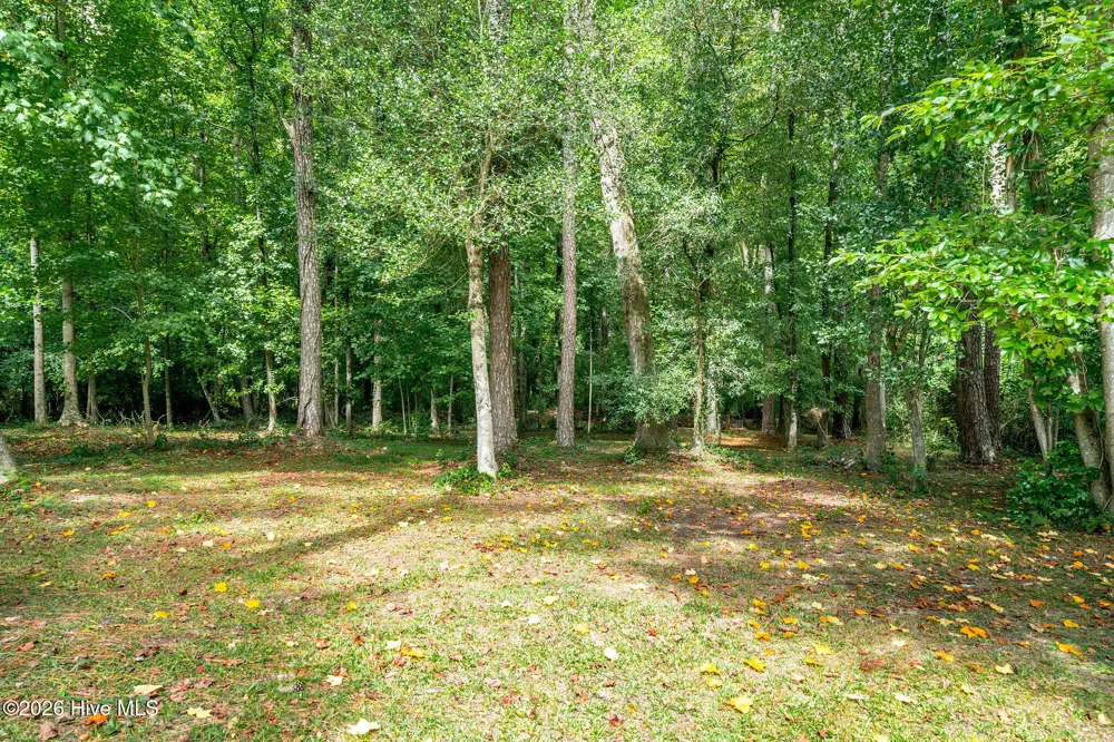 146 Chicken Neck Road Teachey, NC 28464
